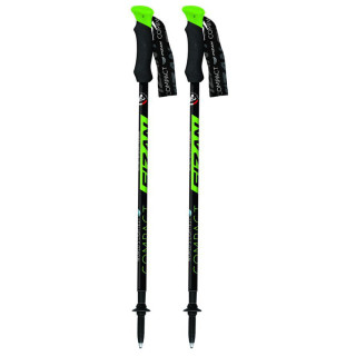 Bețe de trekking Fizan Compact verde