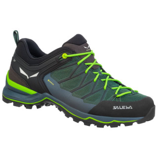 Încălțăminte bărbați Salewa Ms Mtn Trainer Lite Gtx negru/verde