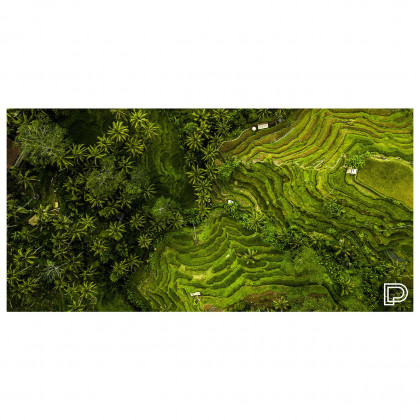 Prosop cu
			uscare rapidă Towee Rice Fields 80x160 cm verde