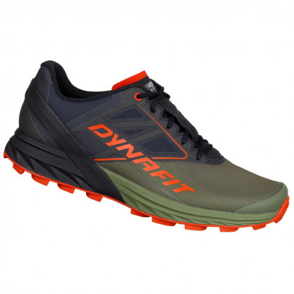Încălțăminte de alergat pentru bărbați Dynafit Alpine negru/verde
