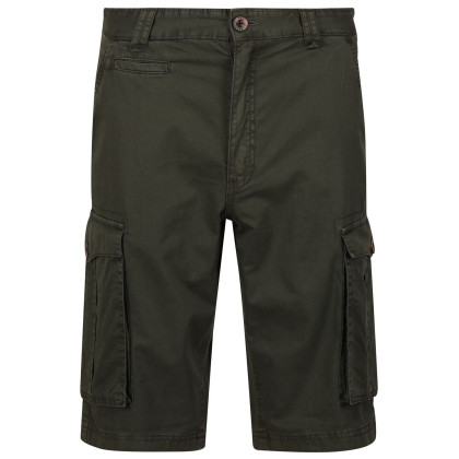 Pantaloni scurți bărbați Regatta Shorebay Short