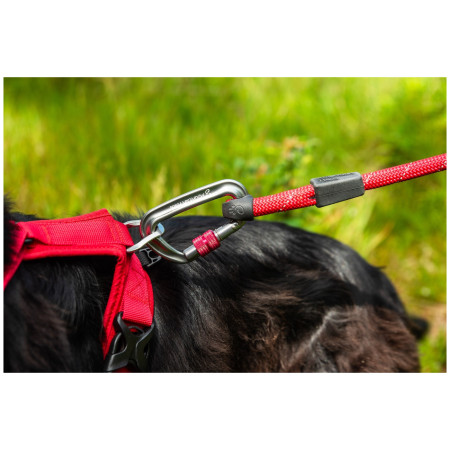 Lesă pentru câini Mountain Paws Rope Dog Lead