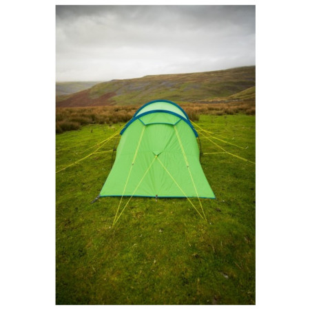 Cort Vango Omega 250