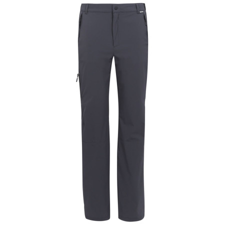 Pantaloni bărbați Regatta Travel Light Packaway Trousers gri Ash