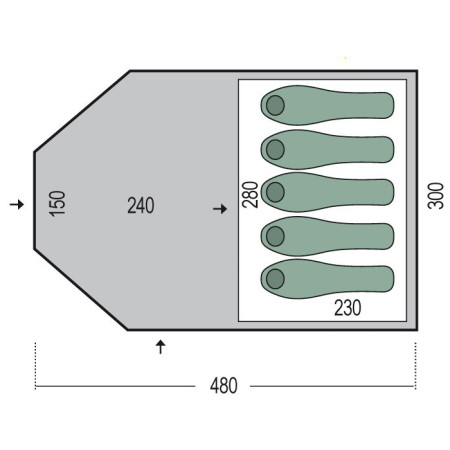 Cort Pinguin Campus 5