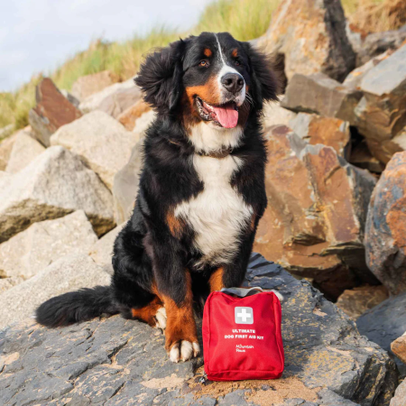 Trusă de prim ajutor pentru câini Mountain Paws Ultimate Dog First Aid Kit