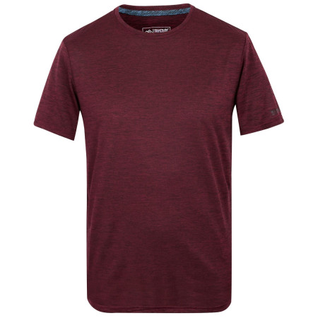 Tricou bărbați Regatta Fingal Edition