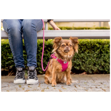 Lesă pentru câini Curli Stretch Comfort Leash