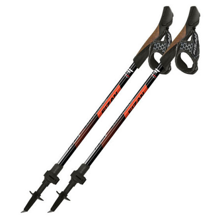 Bețe Nordic Walking Fizan R-Evolution Pro
