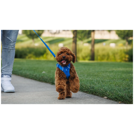 Lesă pentru câini Ruffwear Front Range™ Leash