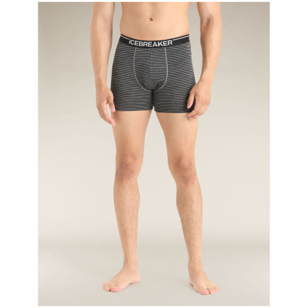 Boxeri bărbați Icebreaker Mens Anatomica Boxers