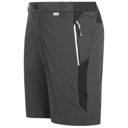 Pantaloni scurți bărbați Regatta Mountain ShortsII M