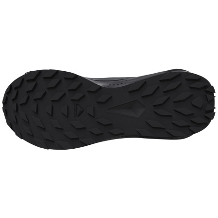 Încălțăminte femei Salomon Alphaglide Gore-Tex