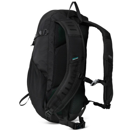 Rucsac Regatta Blackfell IV 15L