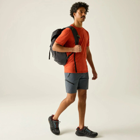 Pantaloni scurți bărbați Regatta Xert Stretch Shorts