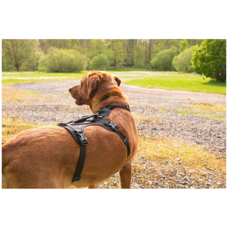 Ham pentru câini Mountain Paws 3-Strap Dog Harness