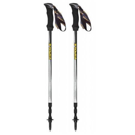 Bețe de trekking Vipole Trekker Rh Grey gri