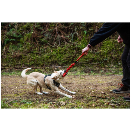 Jucărie pentru câini Mountain Paws Braided Chew Rope Dog Toy