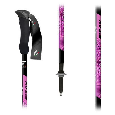 Bețe de trekking Fizan Compact MS