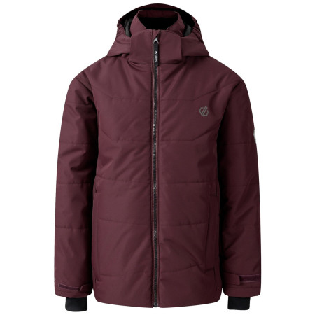 Geacă de iarnă copii Dare 2b Explorer Jacket violet Fig
