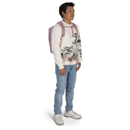 Rucsac urban Osprey Daylite