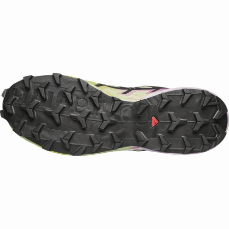 Încălțăminte femei Salomon Speedcross 6 Gore-Tex