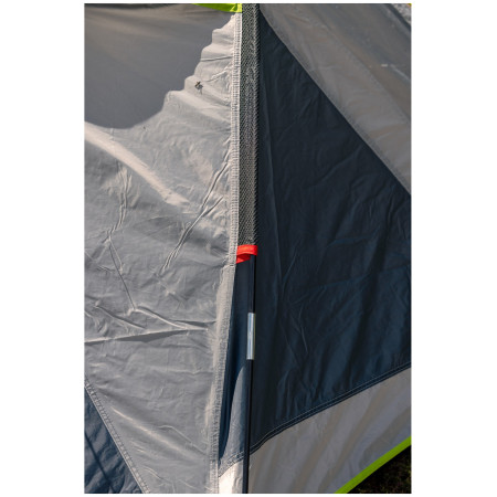 Cort Coleman Darwin 3+