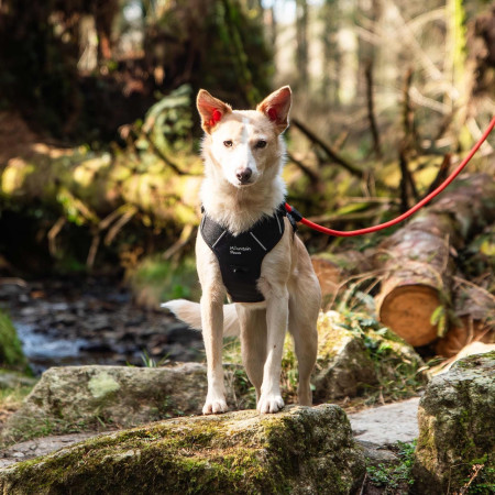 Ham pentru câini Mountain Paws Dog Harness