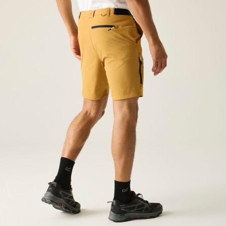 Pantaloni scurți bărbați Regatta Anti-Insect Travel Light Shorts