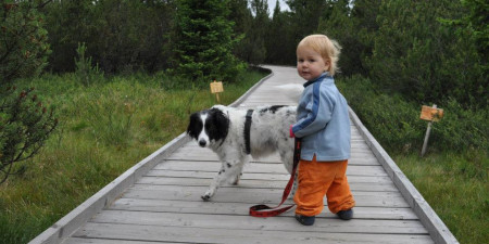 8 sfaturi pentru a face drumețiile mai distractive pentru copii