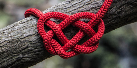 Ofertă specială de Sf. Valentin - produse de care te vei îndrăgosti