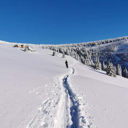 Schi alpinism și siguranța pe munte