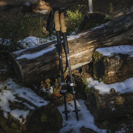 Cum se aleg corect bețele de trekking?