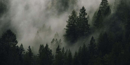 Împotriva vântului și a ploii