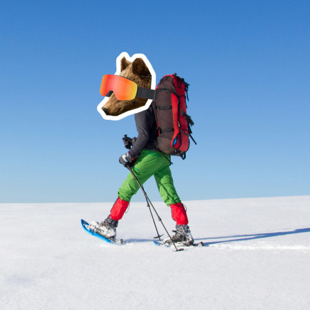 Nu fi urs, ieși din bârlog și pornește pe rachete de zăpadă.