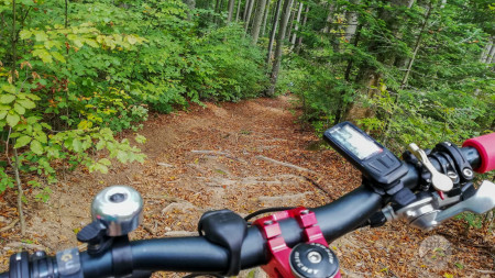 Trasee Mountain Biking în Banatul Montan