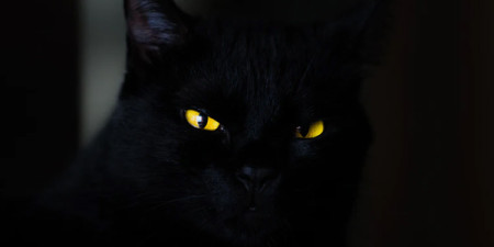 Vineri 13= zi norocoasă= reduceri speciale!