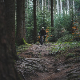 Ce este trail-ul?