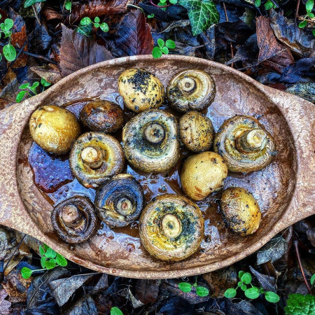 Gătitul în natură