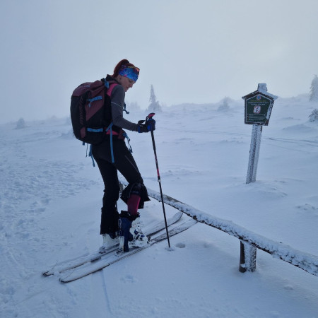 TEST: Șosete Warg Merino SkiAlp