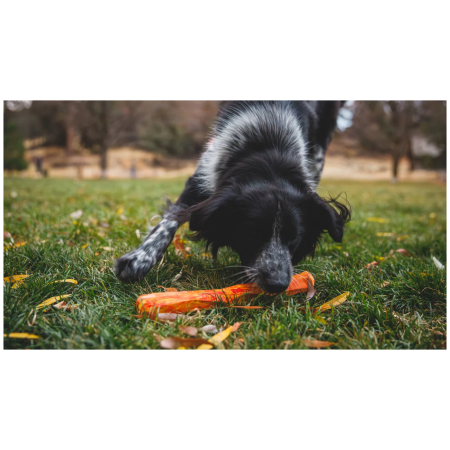 Jucărie pentru câini Ruffwear Gnawt-a-Stick™ Toy