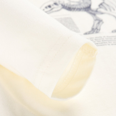 Tricou copii Alpine Pro Ecco 2