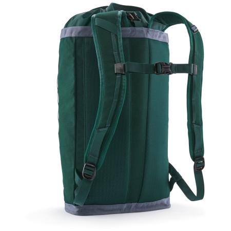 Rucsac Patagonia Fieldsmith Linked Pack 24L