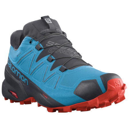 Încălțăminte bărbați Salomon Speedcross 5 GTX albastru/roșu
