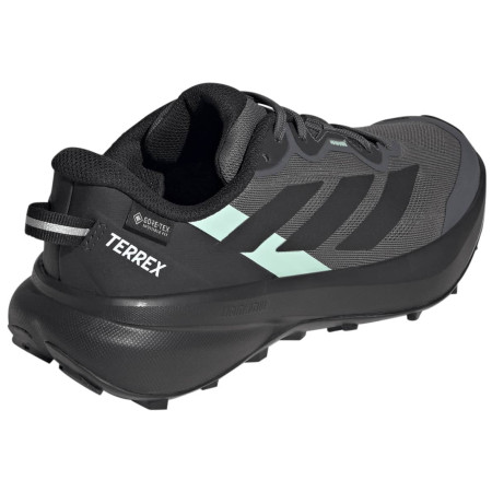 Încălțăminte de alergat pentru femei Adidas Terrex Tracefinder Plus Gtx