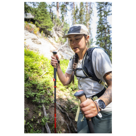 Bețe de trekking Black Diamond Pursuit Carbon FLZ