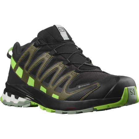 Încălțăminte de alergat pentru bărbați Salomon Xa Pro 3D V8 Gore-Tex negru/verde