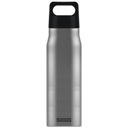 Sticlă Sigg Explorer Brushed 1 l