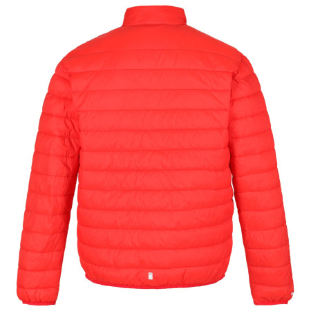 Geacă bărbați Regatta Hillpack