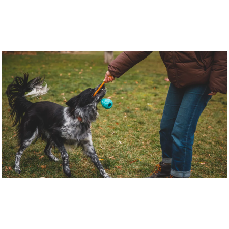 Jucărie pentru câini Ruffwear Huck-a-Cone™ Toy